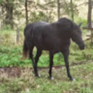 Meet your Posher, Gina